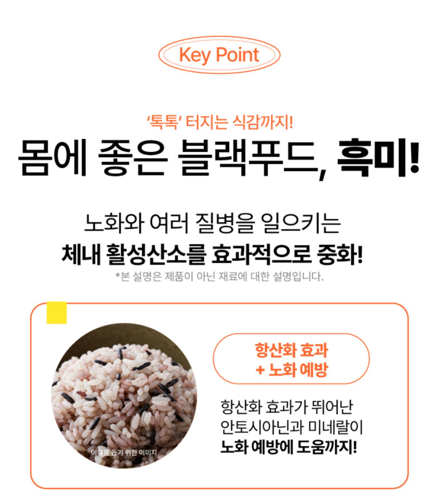 불오징어 김밥